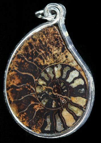 Moroccan Ammonite Fossil Pendant #58387